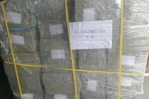 Expedisi Singapore ke Jakarta – 081-117-018-24